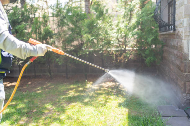 Lawn Pest Control in Avis, PA